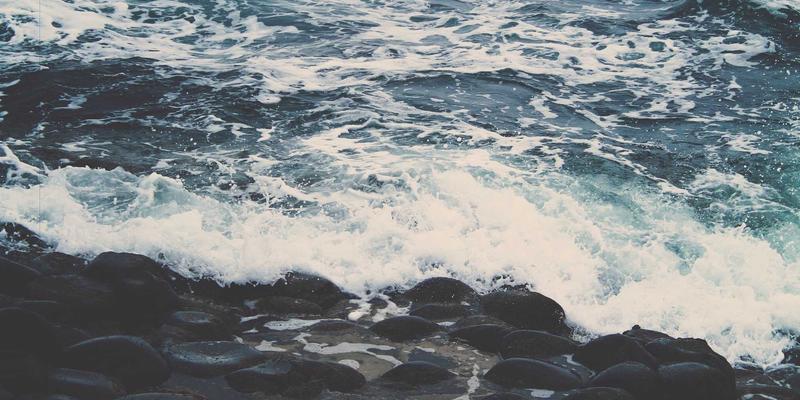 从屋顶到社区：光伏共享模式如何通过虚拟电厂与邻里交易重塑能源未来