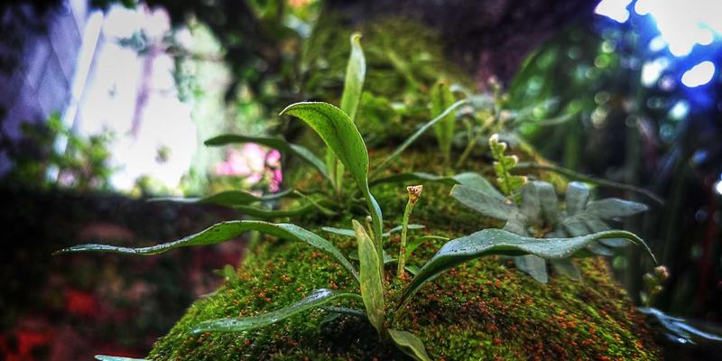 光伏电站用地“雷区”全解析:农用地、林地、草原的合规路径与不可触碰的红线