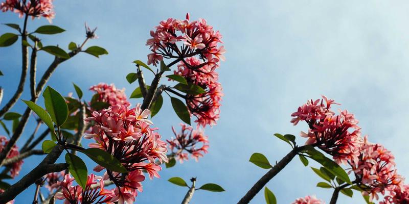 守护绿色能源生命线：沿海与高海拔光伏电站如何抵御极端风灾