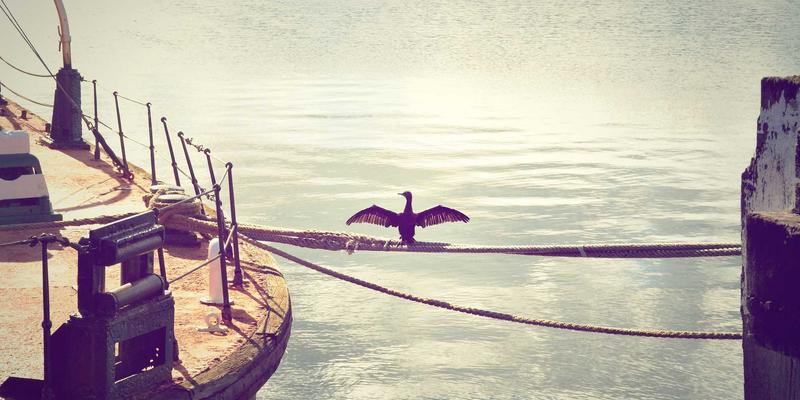 揭秘太阳能光伏板安装成本:如何计算你的清洁能源投资回报率?